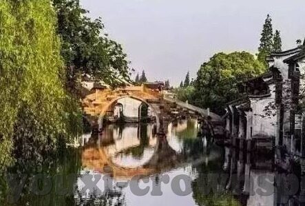赤潮自走棋下载九游-赤潮自走棋,在九游平台上的策略博弈之旅