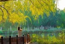 中韩足球比分图片-中韩足球比分图片,赛场风云的视觉记忆与情感纽带